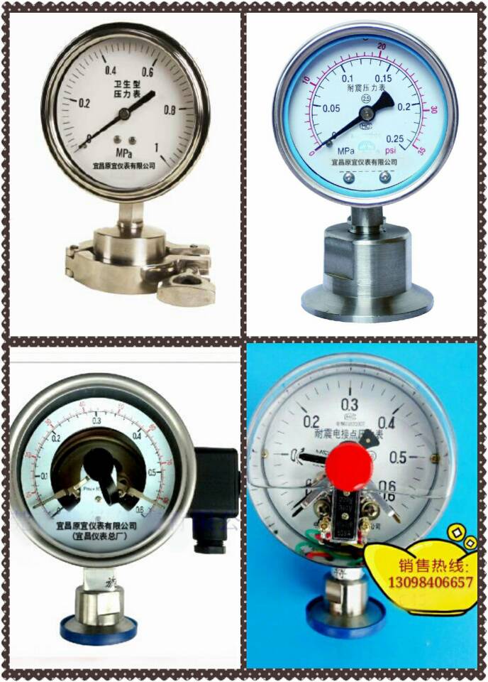 衛(wèi)生型系列隔膜壓力表 衛(wèi)生型系列隔膜壓力表